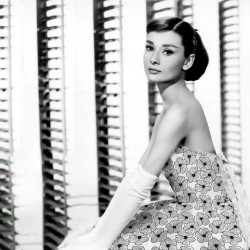Viscose plumetis Audrey - Calissone